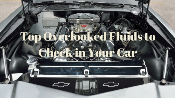 Top Overlooked Fluids to Check in Your Car