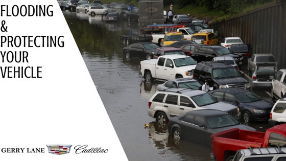 Flooding and Protecting your Vehicle