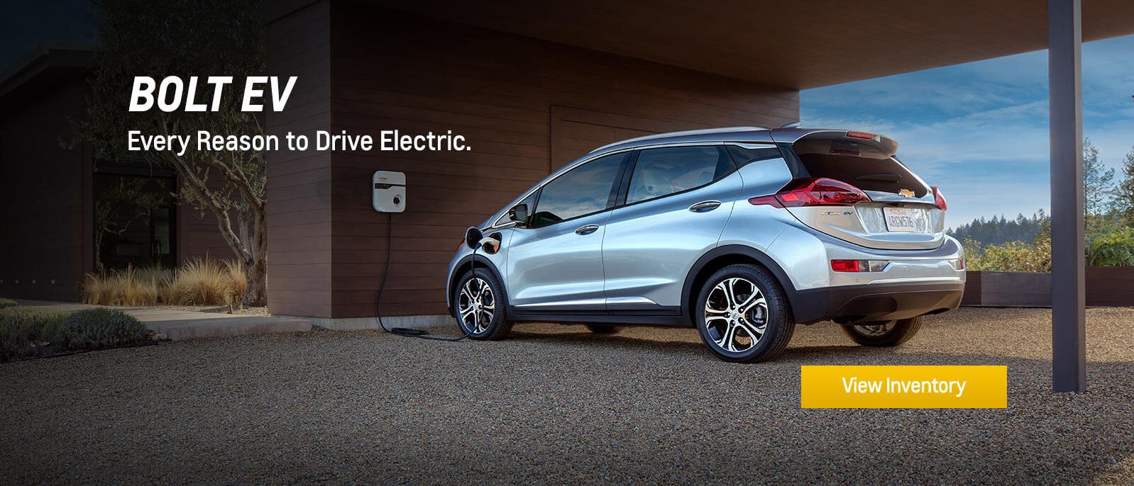Every Reason to Drive Electric.