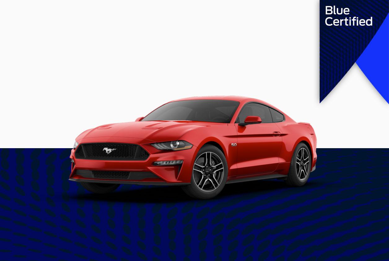 Blue Certified logo - Red Mustang