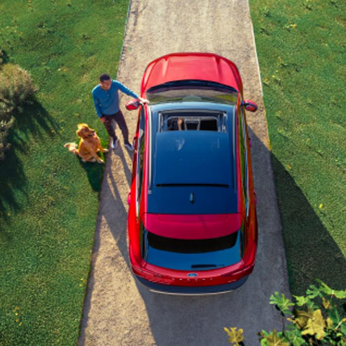 A man and dog standing next to a red Ford vehicle shown from above. 