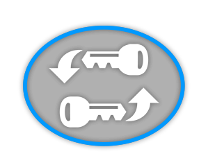 Car keys icon