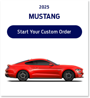 Start Your Custom Order