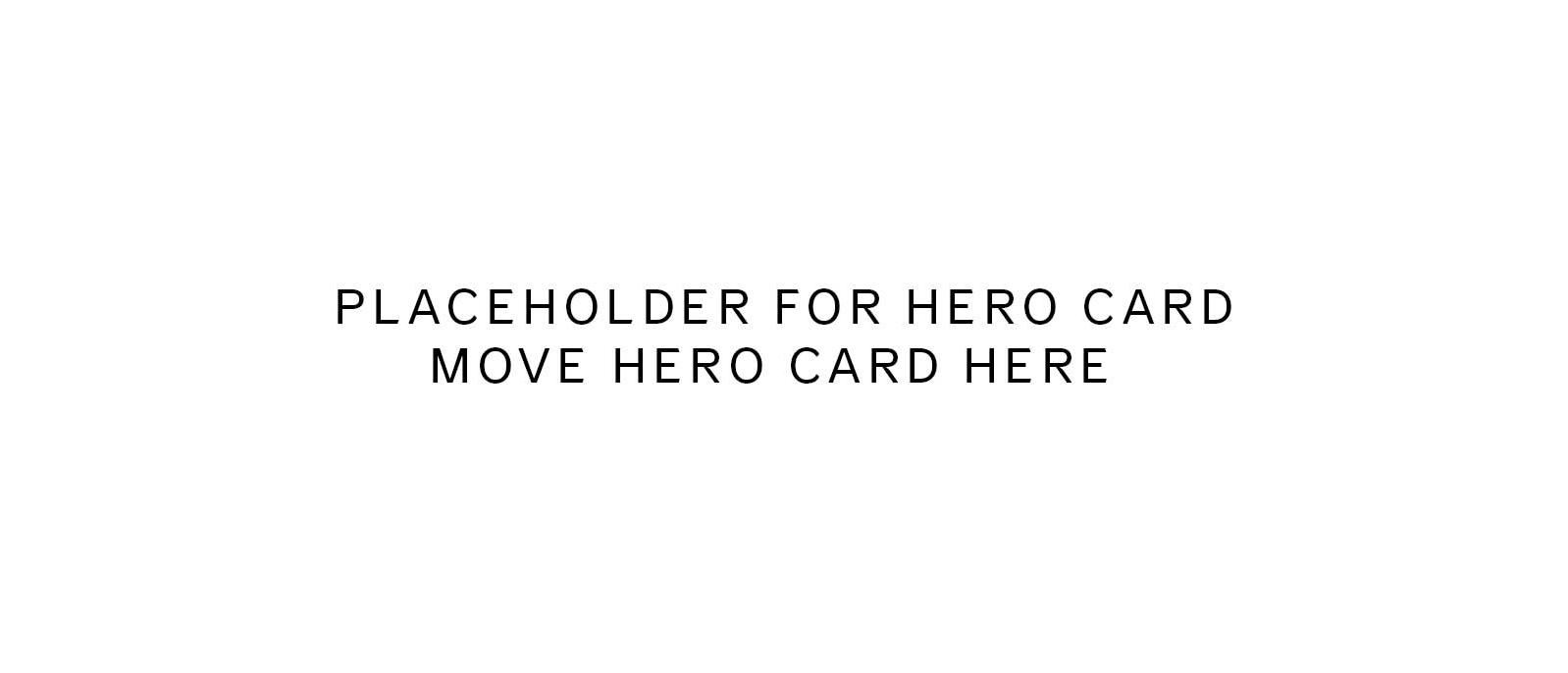 Placeholder for Hero 