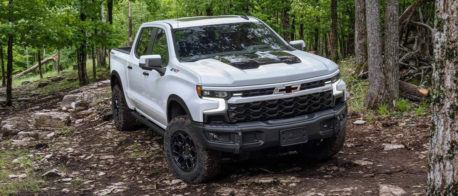 2023 SILVERADO ZR2 BISON