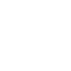 car-care-icon-white.png