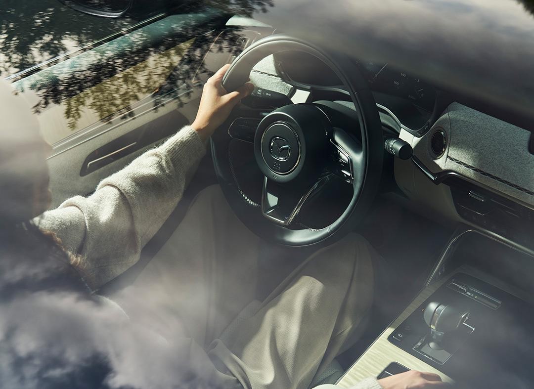 Panoramic moonroof.