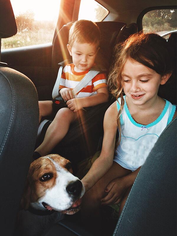 Young children in the backseat of a car with their dog