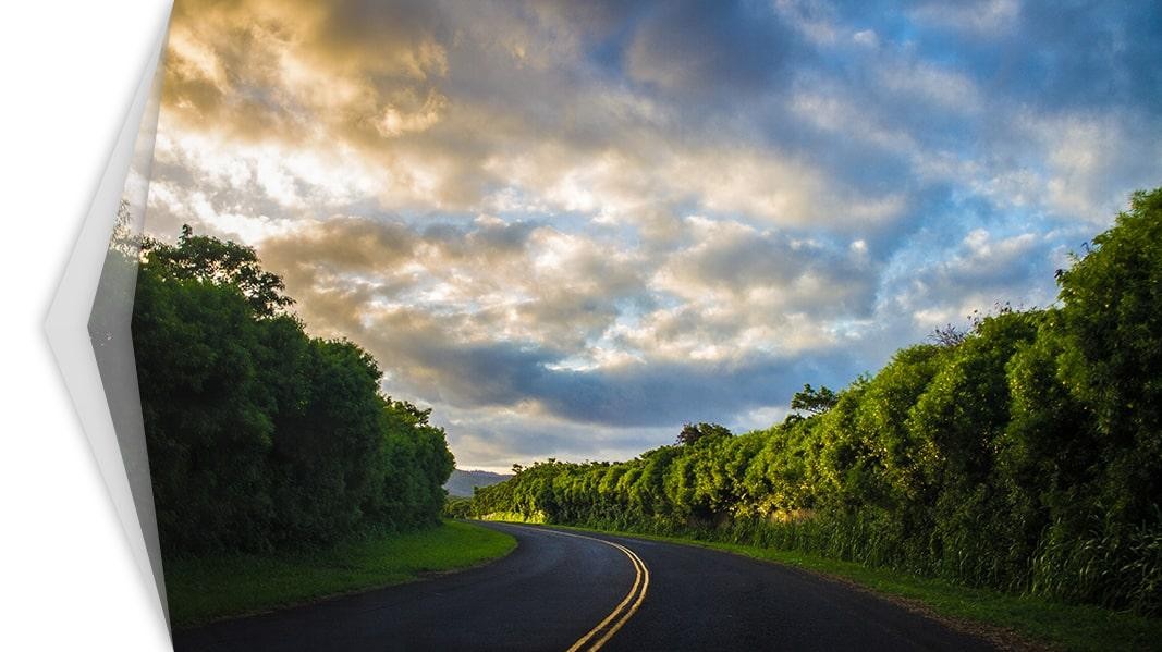 Sunny rural tree lined road