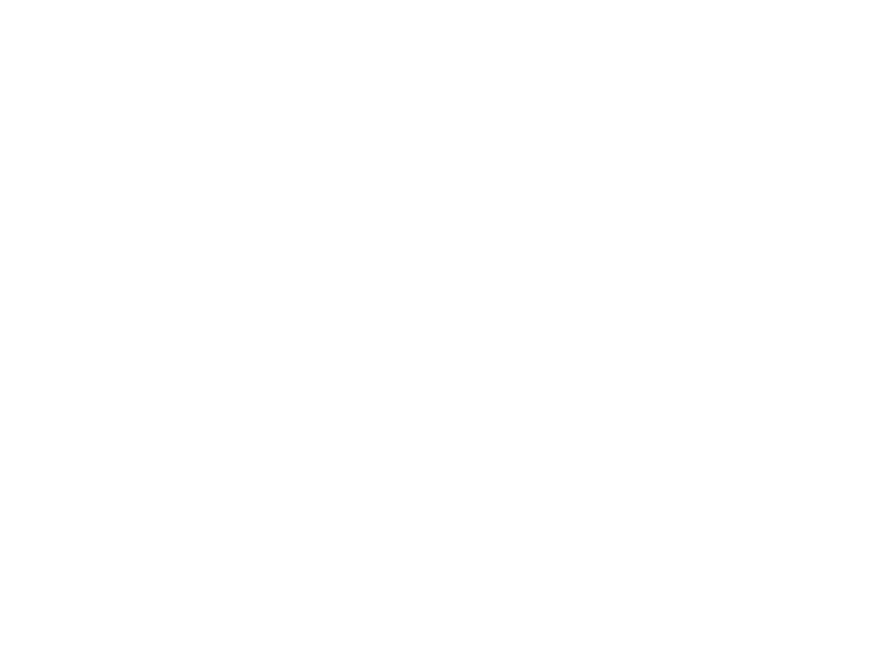 White pre-owned vehicle icon