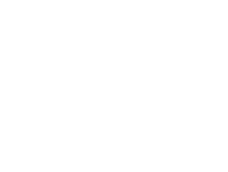 White tire icon