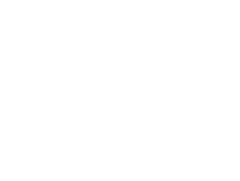 White new vehicle icon