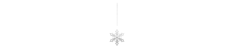 Silver snowflake