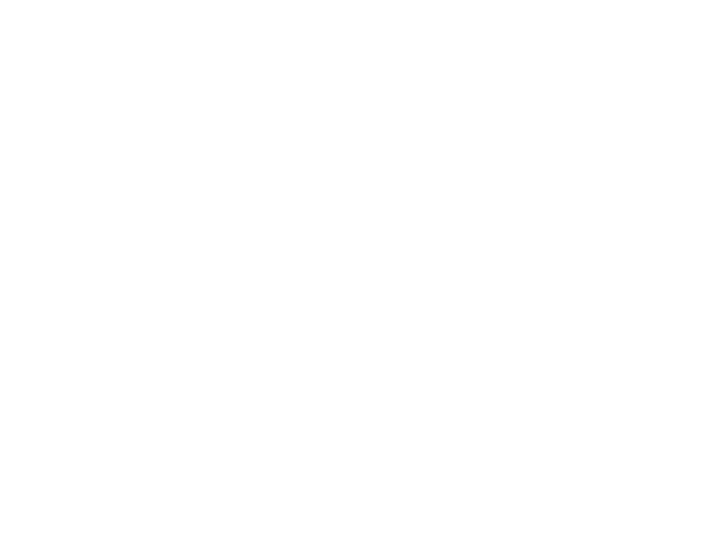 White chat icon
