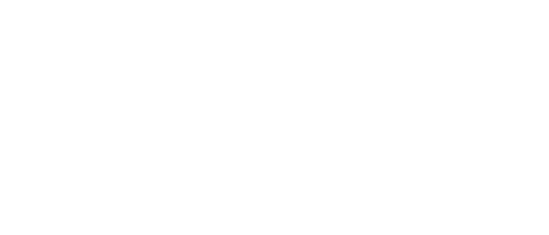 White vehicle icon