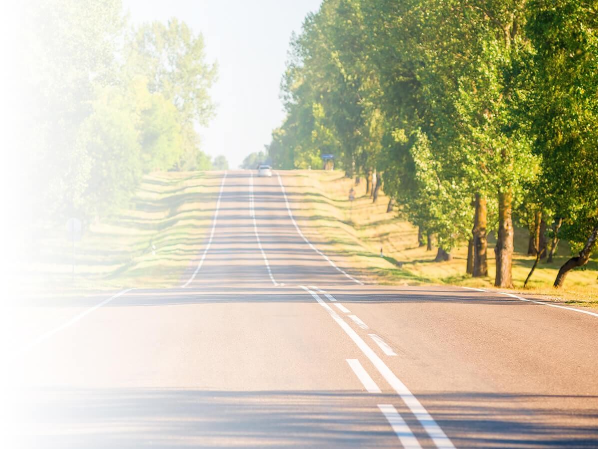 Sunny, tree lined road