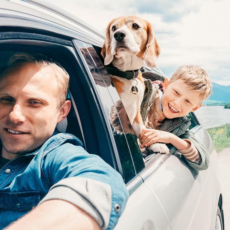 A father and his son driving in their car with the family dog