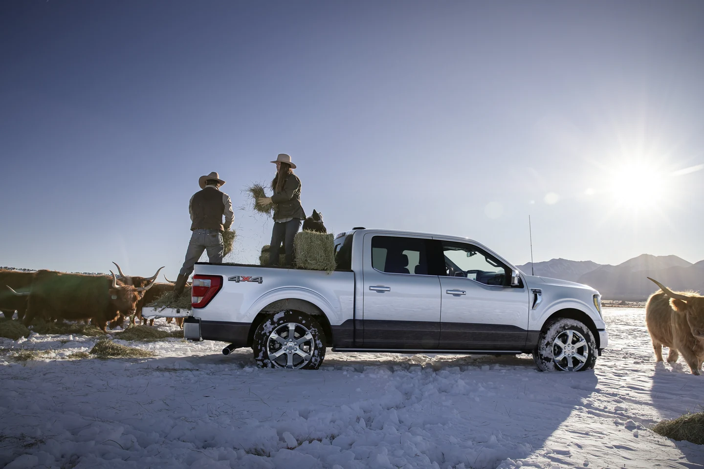 2023 Ford F-150 in the Snow