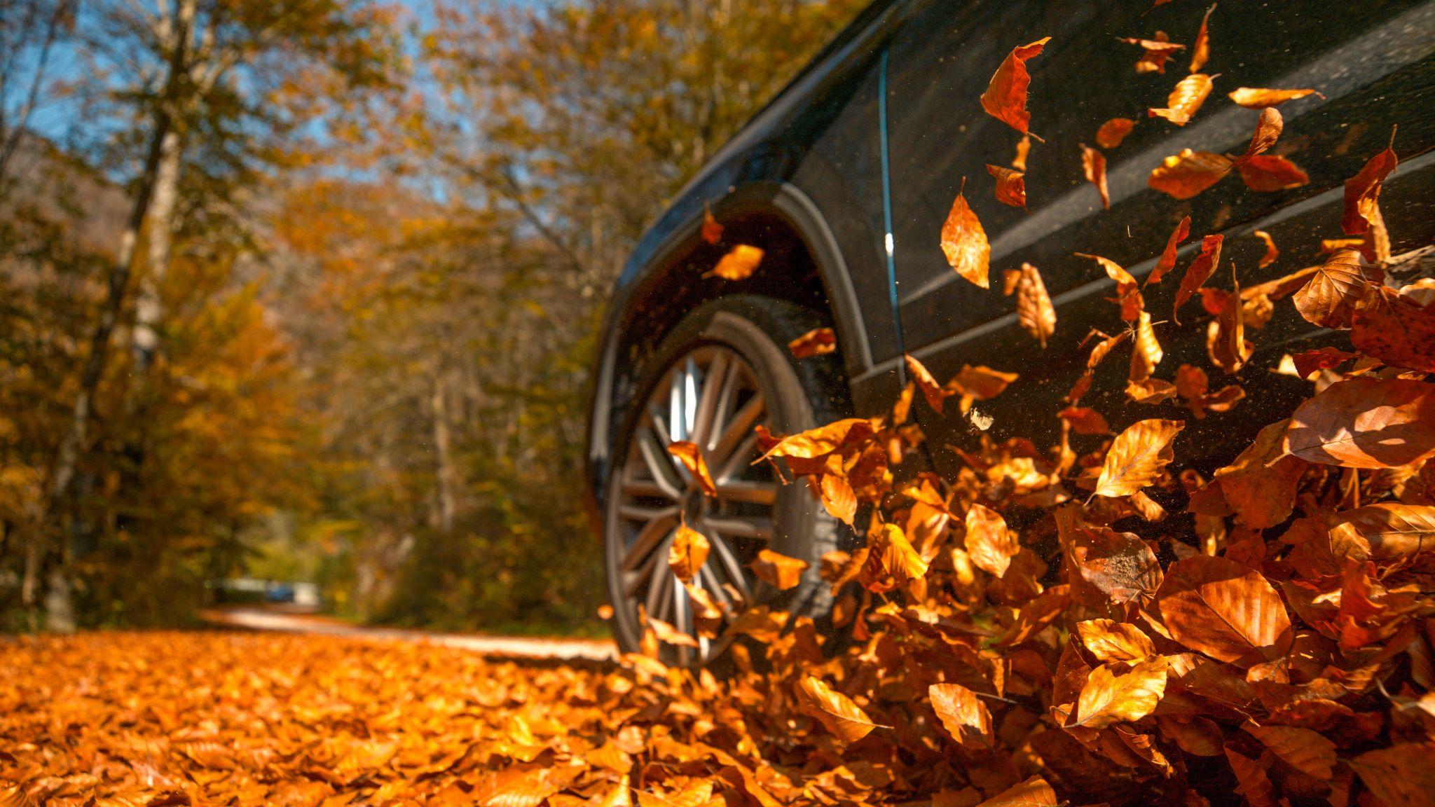 Autumn Driving Safety Tips