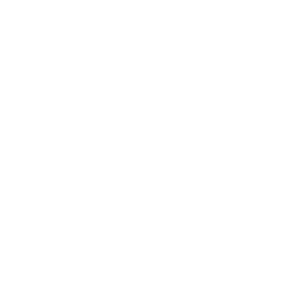 Vehicle service icon