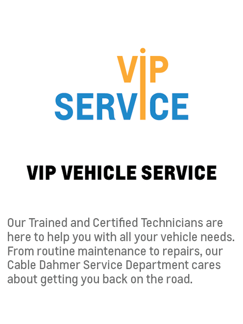 VIP Vehicle Service