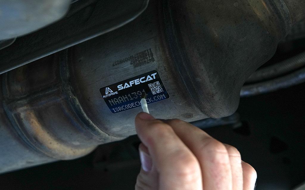 Safecat clearance