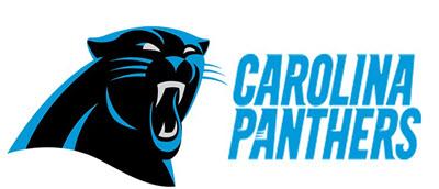 Carolina Panthers on X: Tomorrow we roar as one. Two States. One Team.  #OneCarolina #KeepPounding  / X