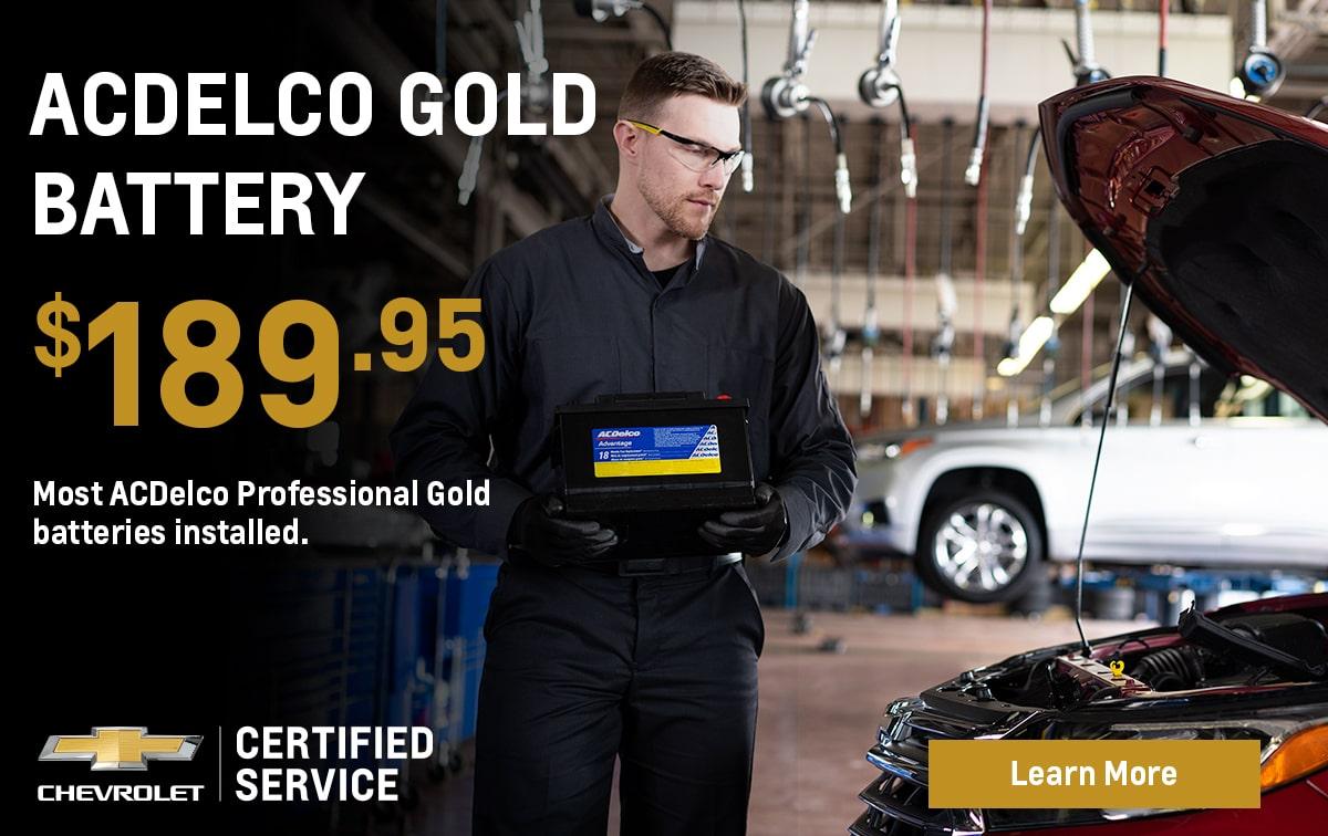 AC Delco Professional Gold Battery