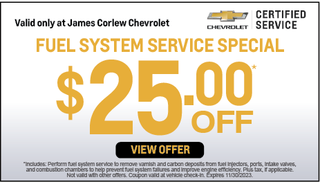 Fuel System Special $25 off.