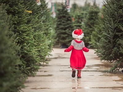 Little Girl in Christmas Tree Farm