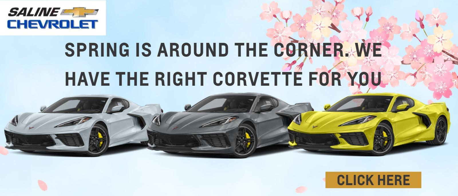 Spring is around the Corner. We have the right Corvette for You