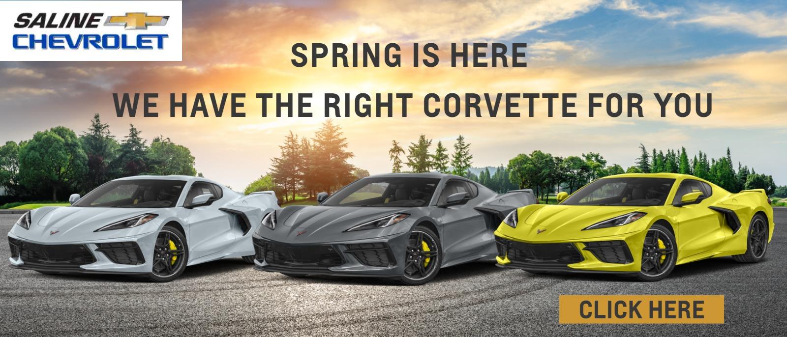 Spring is around the Corner. We have the right Corvette for You