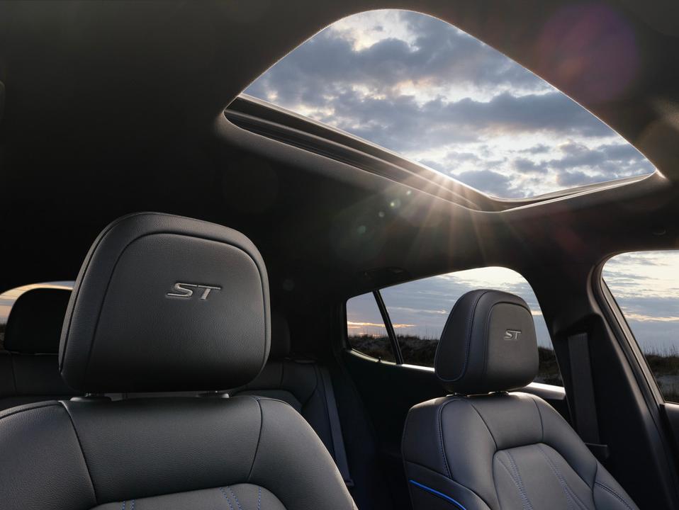 View the 2024 Envista Headrest and Sunroof