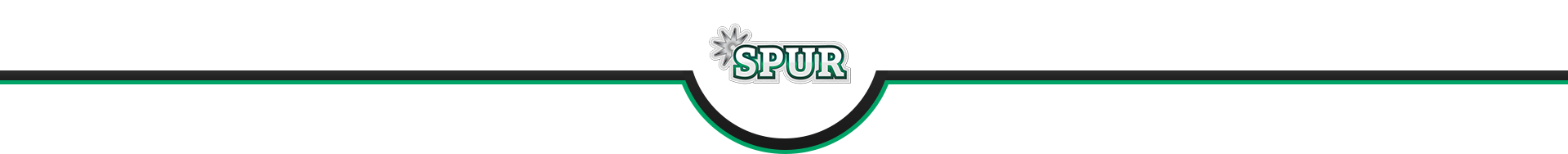 Spur logo transition
