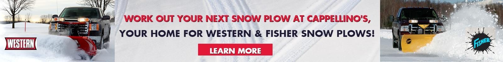 Dual Brand Snow Plow Banner