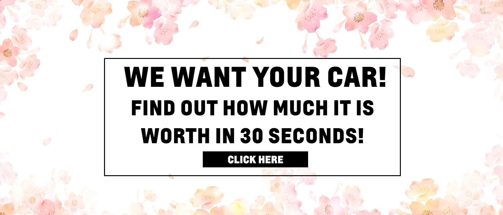 We Want Your Car! Find out how much it is worth in 30 seconds!