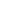 Fleet vehicle icon