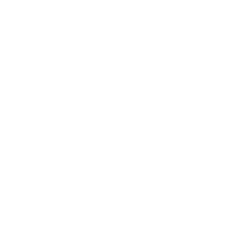 Express Purchase Cart Icon
