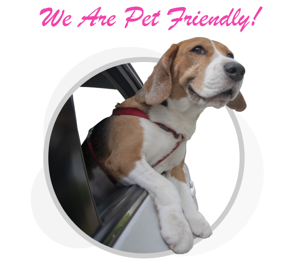 Pet Friendly Extended Stays Near Me: Perfect Accommodation for Your Four-Legged Friends