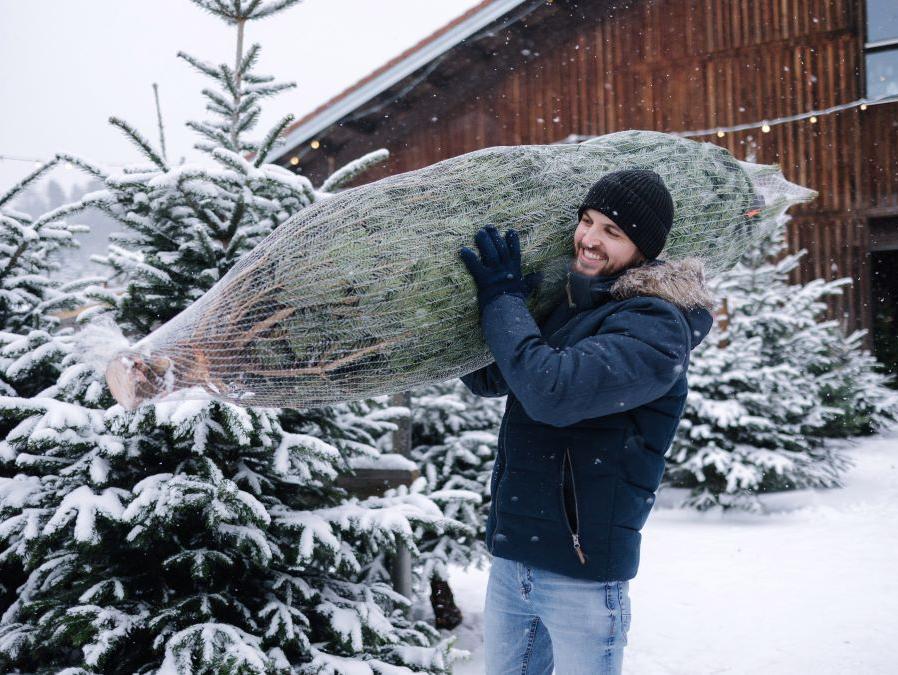 How To Transport A Christmas Tree | McCarthy Collision Centers