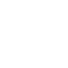 Search Icon