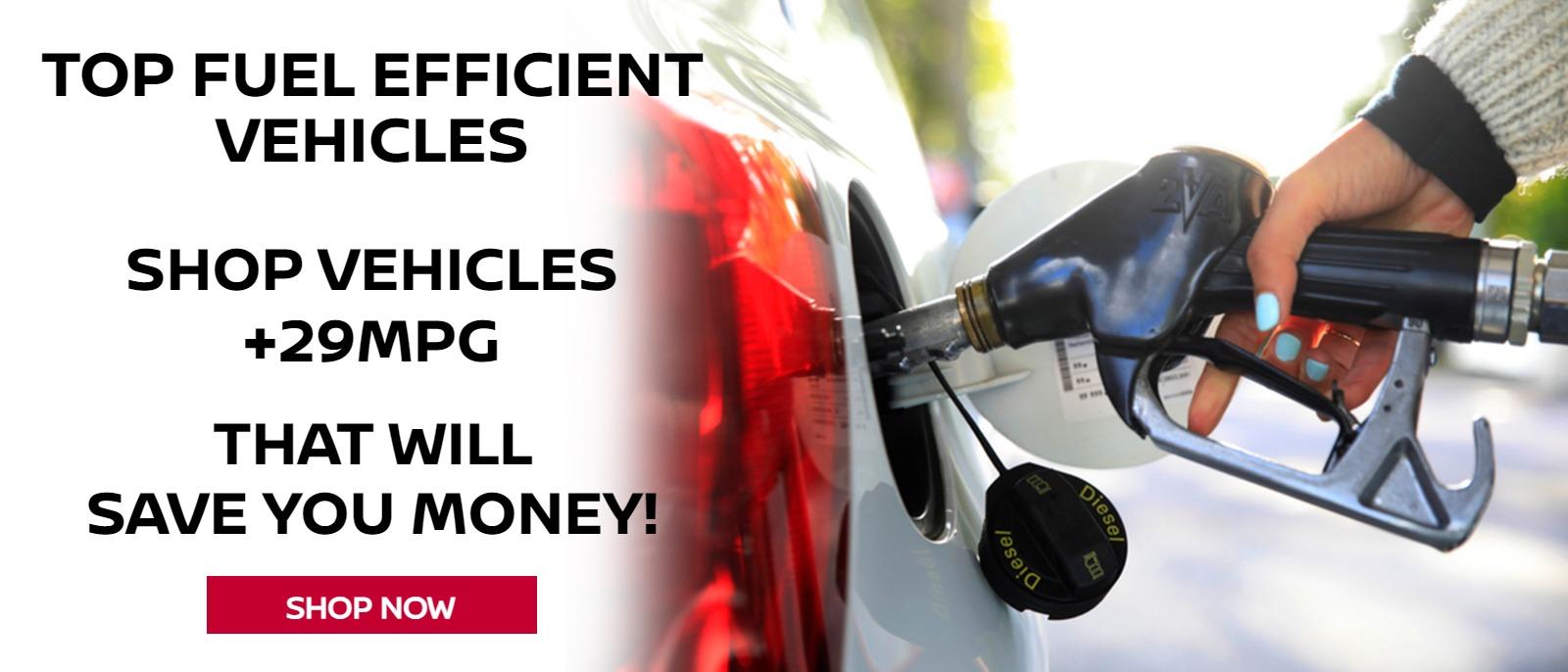 Fuel Efficient Vehicles
+29MPG vehicles that will save you money!