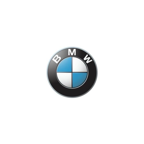 BMW Logo