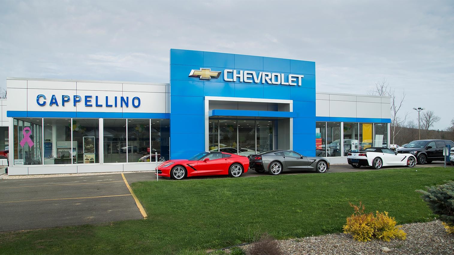 Cappellino Chevrolet Dealership in Boston, NY